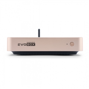 EVOBOX Plus караоке-система для дома в Великом Новгороде